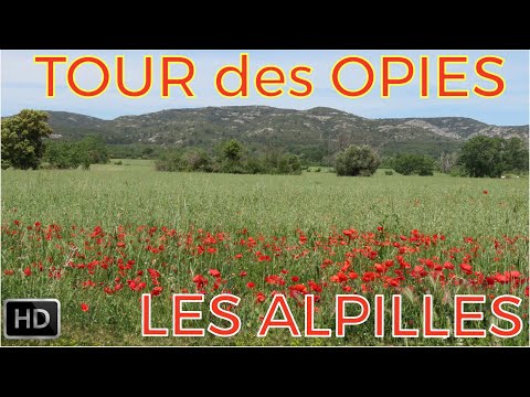 ❤️❤️ Superbes ALPILLES - La Tour des OPIES, Eyguières