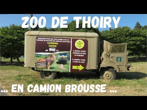 Zoo de Thoiry en camion brousse [HD], Première partie #zoo #thoiry